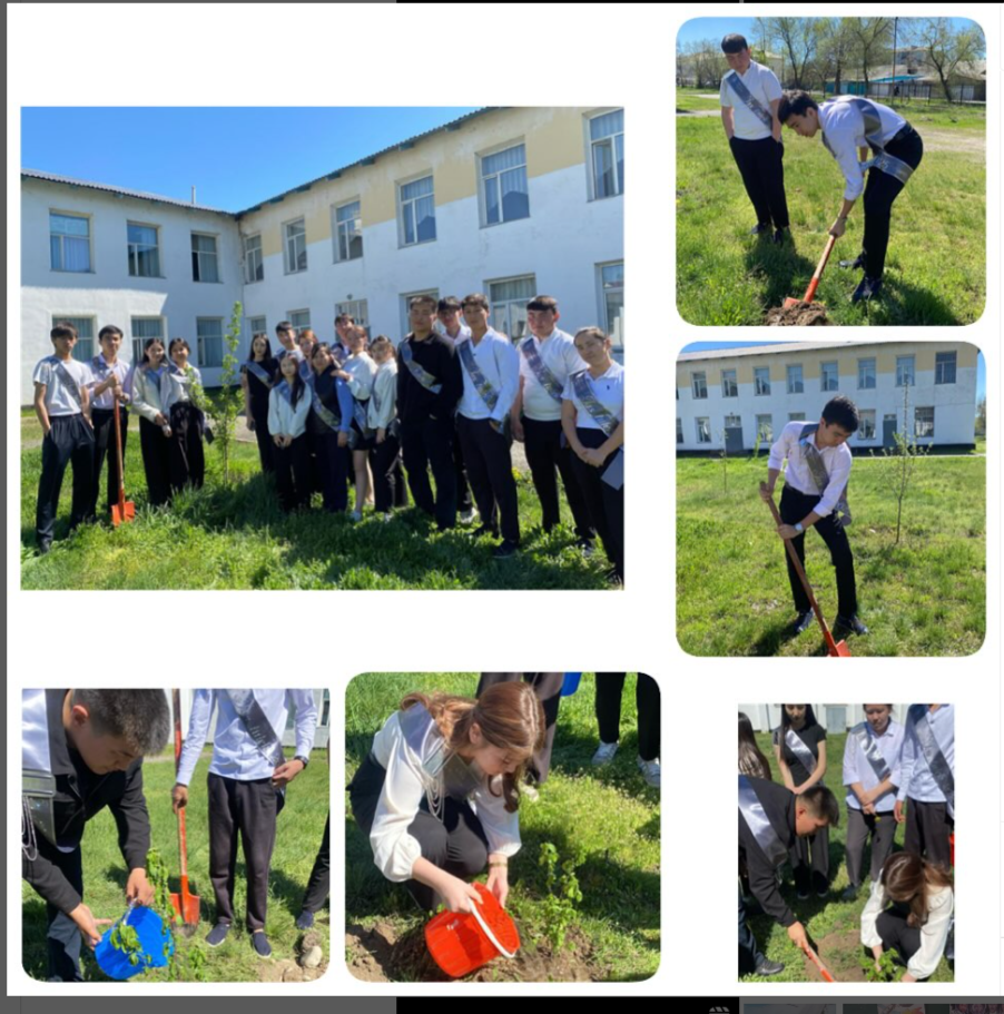 “Түлектердің ағаш егу” экочелленджі